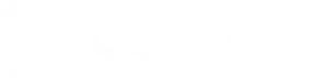 Logo Controlo blanco